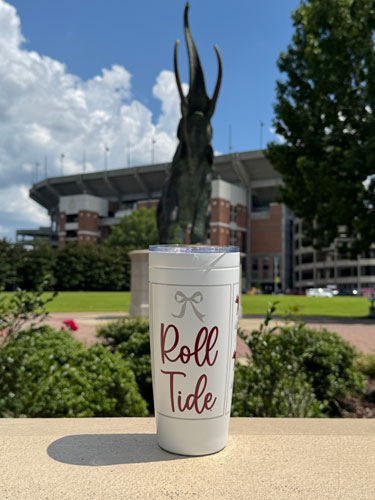 3 Picture 20oz Satinless Steel Tumbler