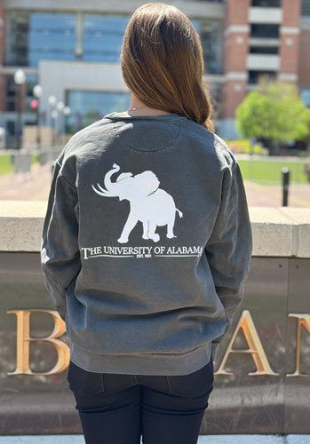 New Pine Pachyderm Comfort Color Crewneck Sweatshirt