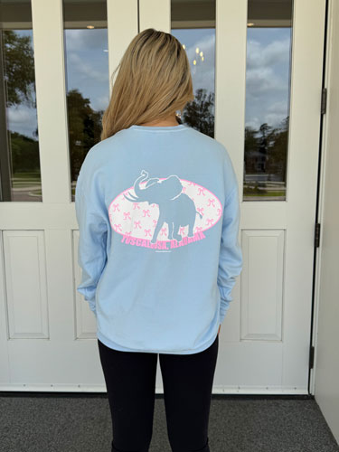 Pachyderm/Bow Lightweight Comfort Color Crewneck Sweatshirt