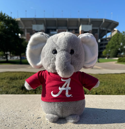 Country Critter Elephant with Script A T-Shirt