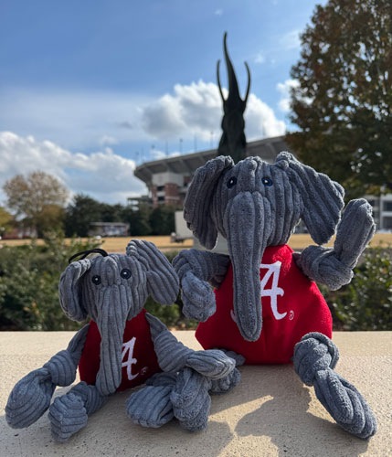 Big Al Mascot Knottie Plush Dog Toy